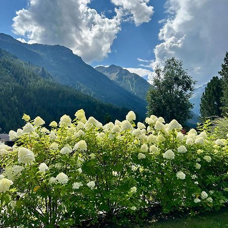 Ferienwohnung Wald Wald im Pinzgau Dış mekan fotoğraf