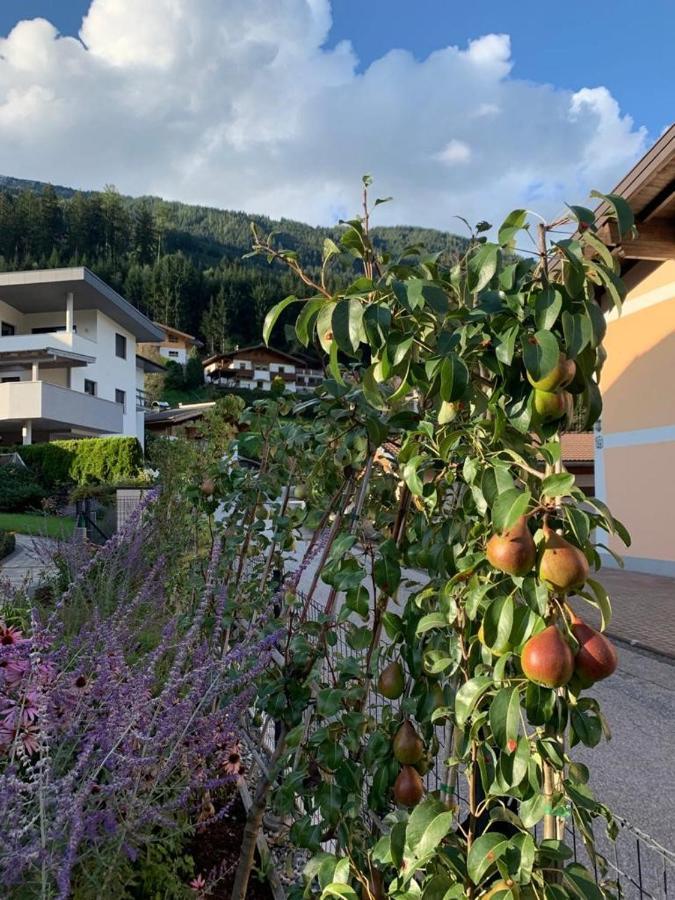 Ferienwohnung Wald Wald im Pinzgau Dış mekan fotoğraf