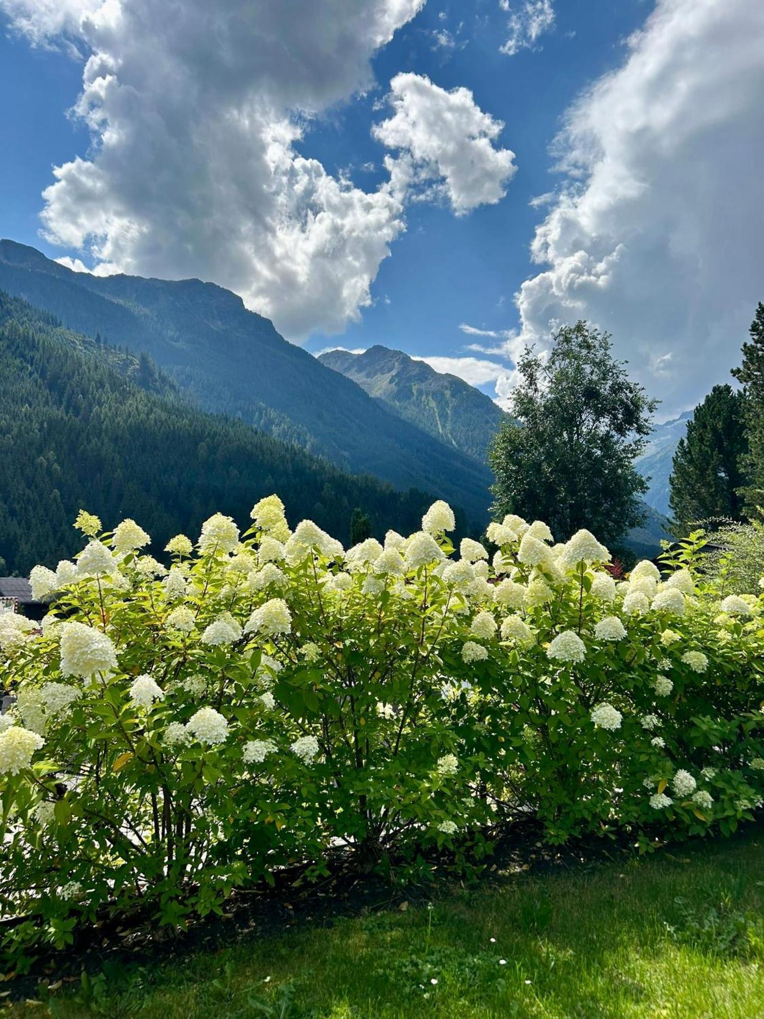 Ferienwohnung Wald Wald im Pinzgau Dış mekan fotoğraf